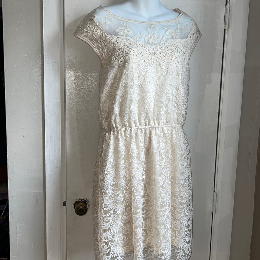 MOLLY BRACKEN Off White Lace Knee Length Dress-L NWT